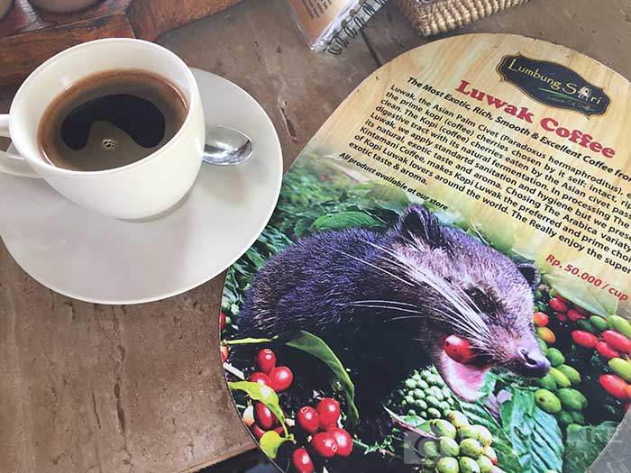 世界一高級なコピ・ルアクをバリ島で飲むなら農園へ行こう！